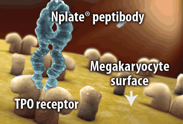 Nplate (romiplostim) binds to the TPO receptor