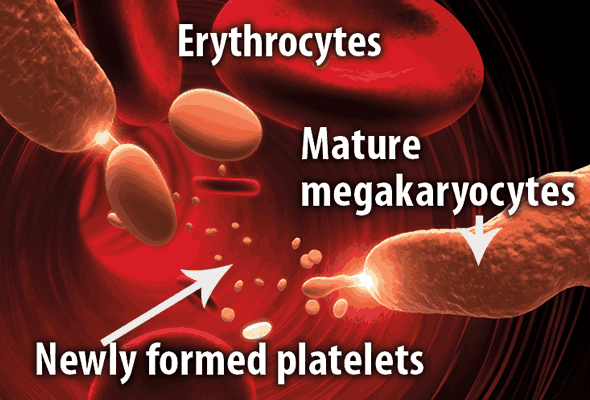 Nplate (romiplostim) works to increase platelet production