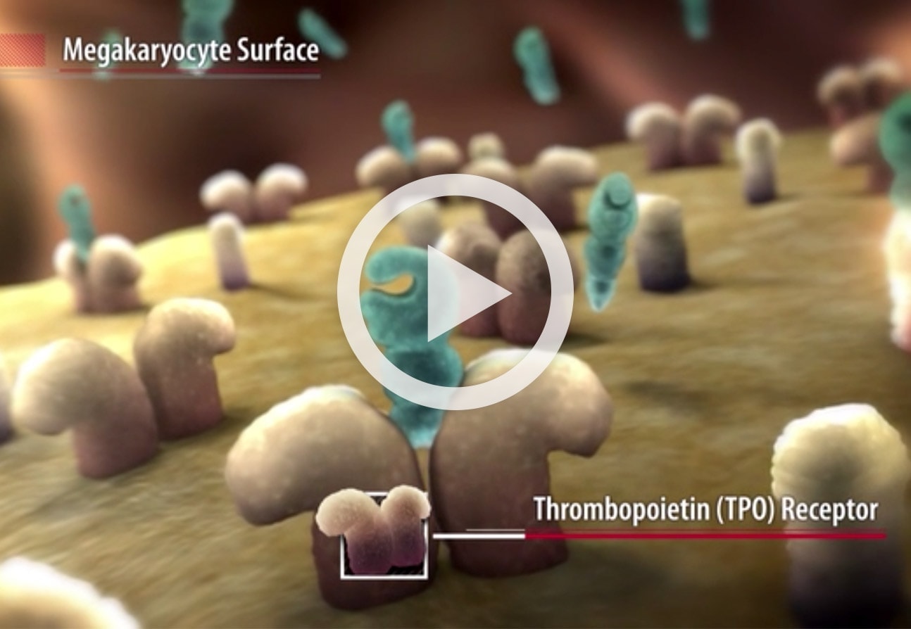 Watch this video to learn how Nplate (romiplostim) works